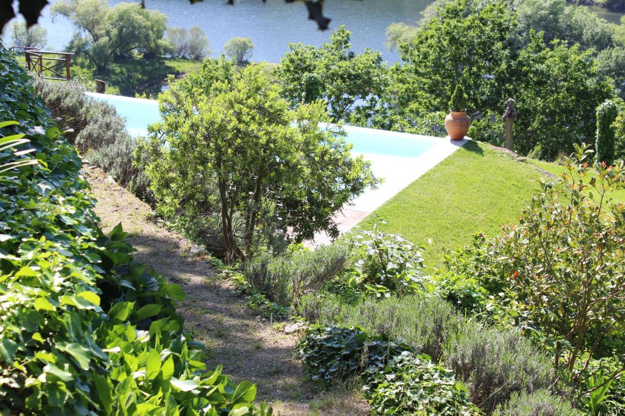 Villa "Bouca Drigues" Casa Antiga De Pedra Com Piscina E Vista Rio Amarante Exterior foto